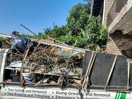 Best Construction Debris Removal  in Eudora, KS
